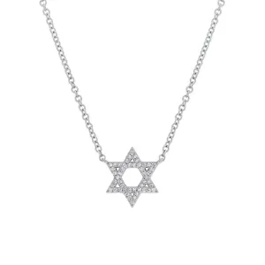 14k White Gold Diamond Star of David Necklace