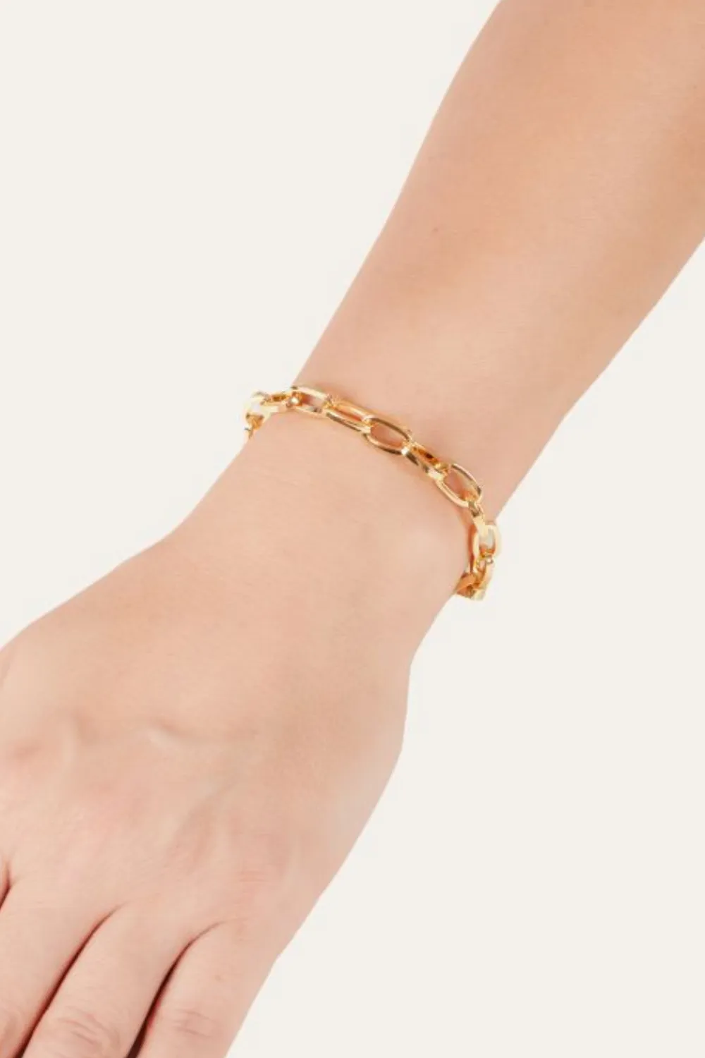 Cara gold plated chain anklet/bracelet