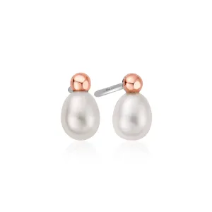 Clogau Welsh Beachcomber Stud Earrings