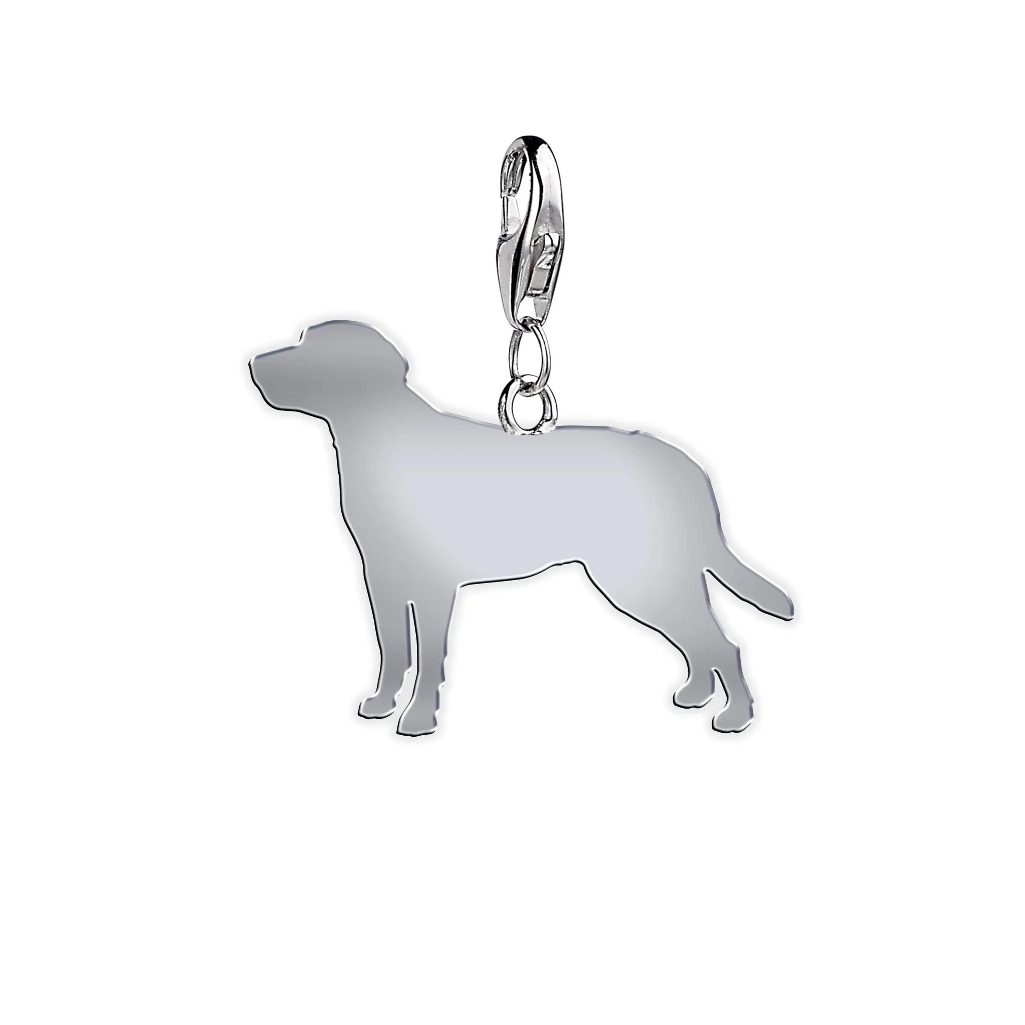 Entlebucher Mountain Dog Silhouette Silver Charm